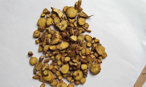 菊三七的功效与主治-菊三七的药用功效与作用网 - 为你提供菊三七的药用部位、菊三七根泡酒的功效