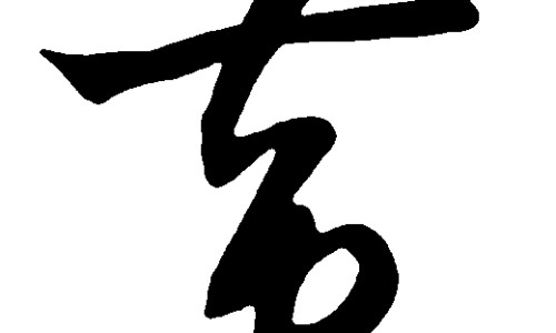 菊三七的药用功效与作用网 - 为你提供菊三七的药用部位、菊三七根泡酒的功效